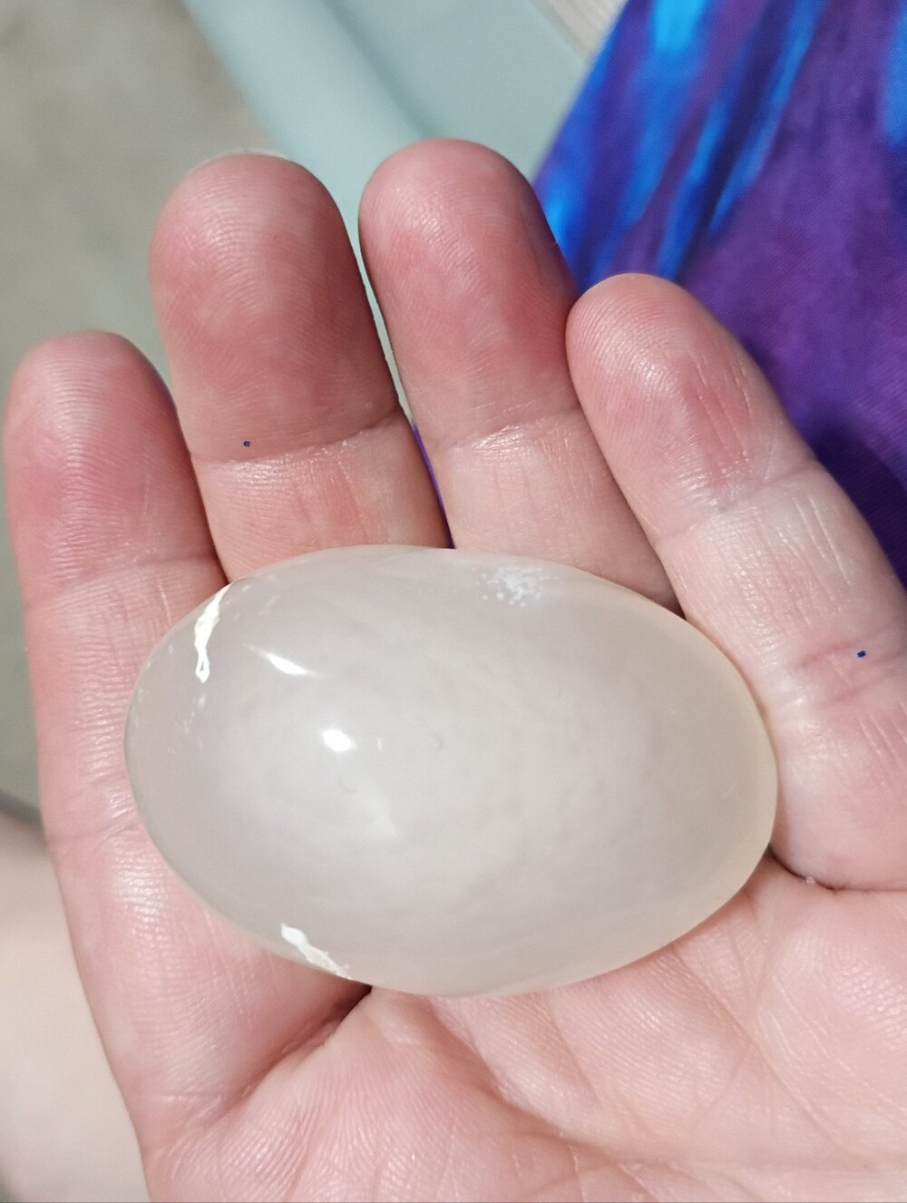 Polished Orca Agate Palm Stone